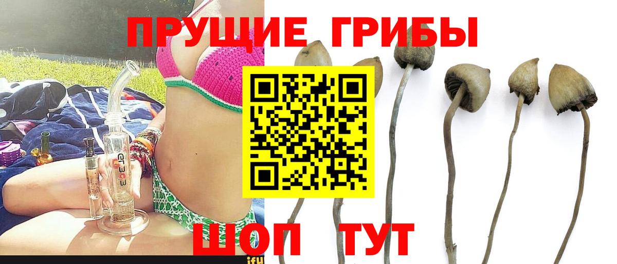 Ефремов  Галлюциногенные грибы мухоморы  Вход с VPN  Галлюциногенные грибы прущие грибы 