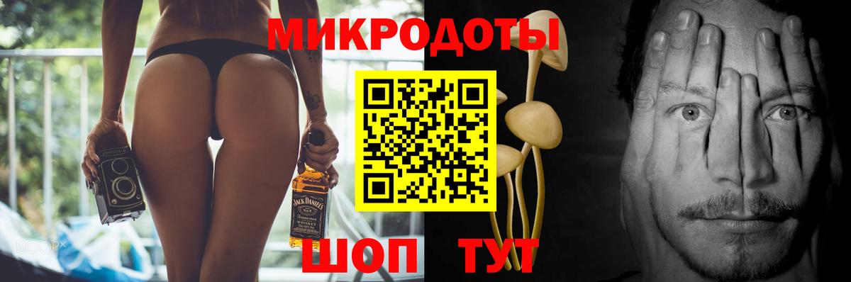 Псилоцибиновые грибы Psilocybe Ефремов